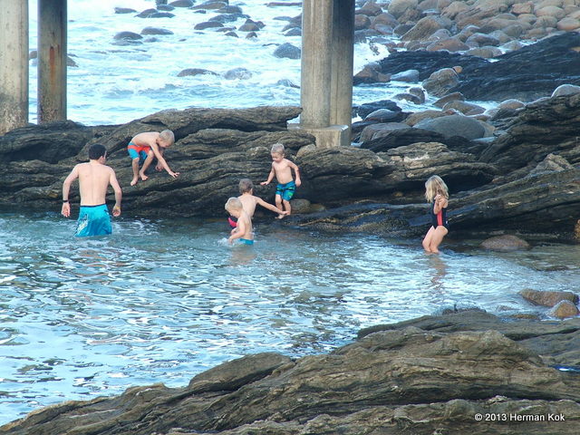 Tidal Pool