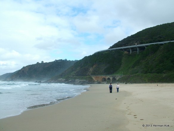 Wilderness South Africa