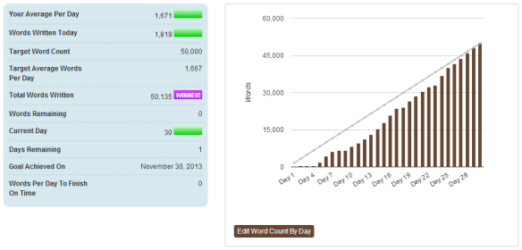 NaNoWriMo stats page