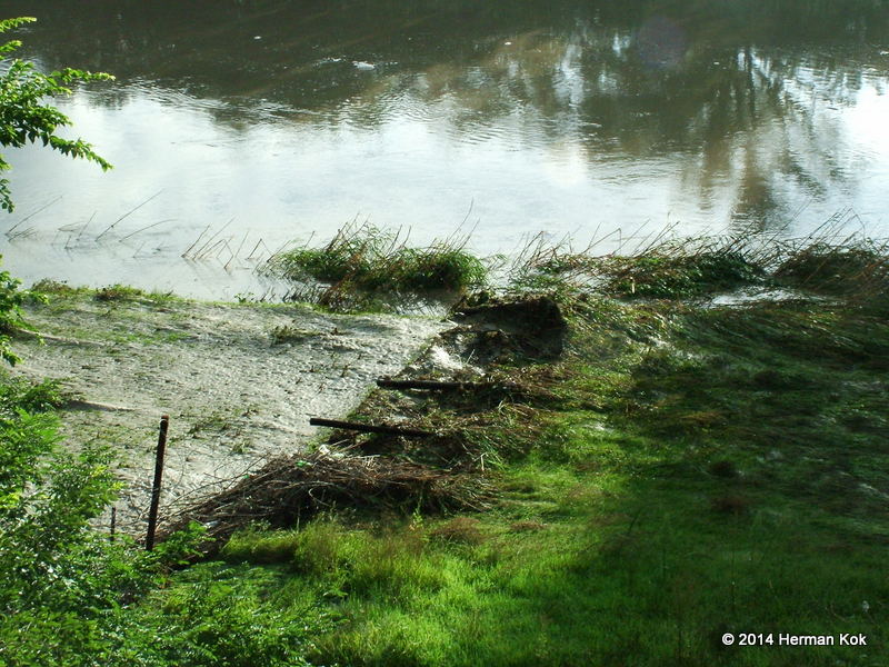 Flattened fence