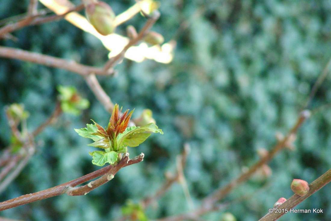 A Springtime Refresh