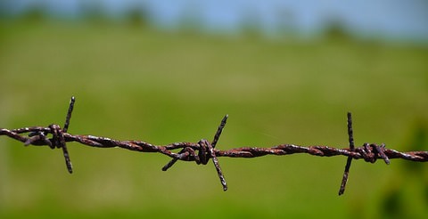 Rusty barbed wire