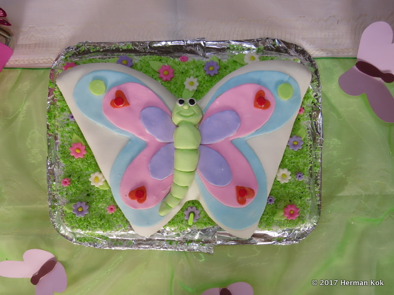 Butterfly cake 1