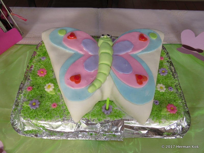 Butterfly cake 2