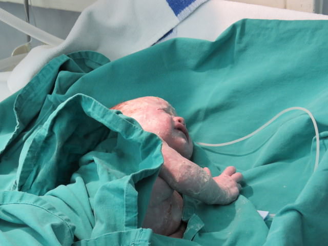 Elizabeth Julie 2016-004.JPG